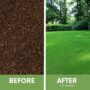 Ruff & Tuff Grass Seed Repair – Flawn Seed – 1250 SQ FT